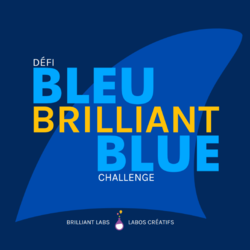 Logo of Brilliant Blue Community