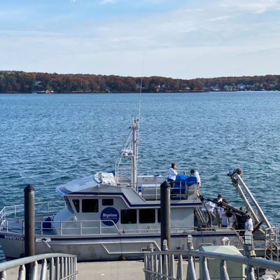 Our Team and Product