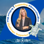 Profile picture of Cheryl Willson