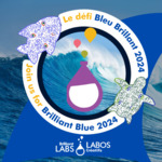 Blue Room - Share Your Story! 